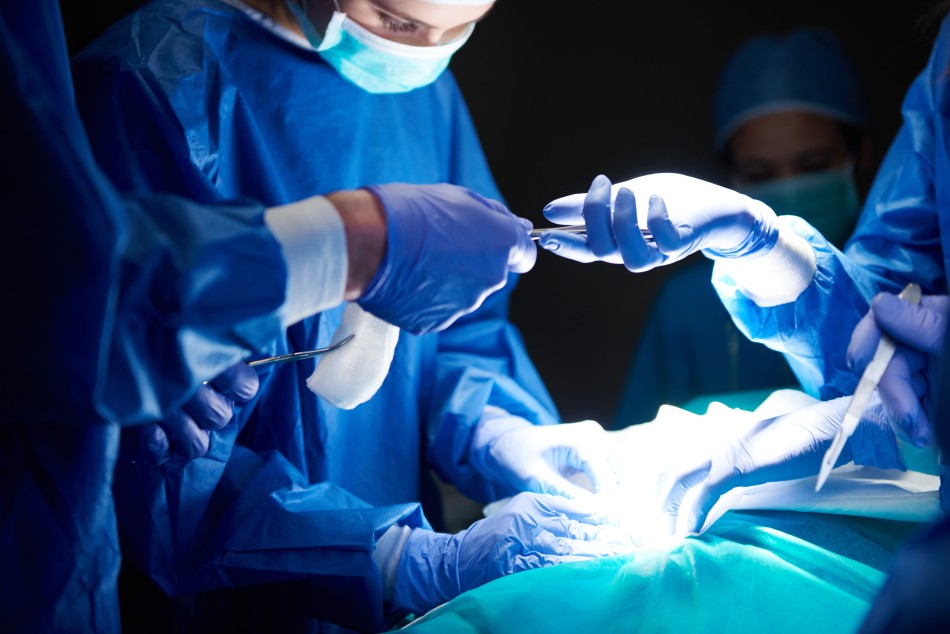 spinal cord repair